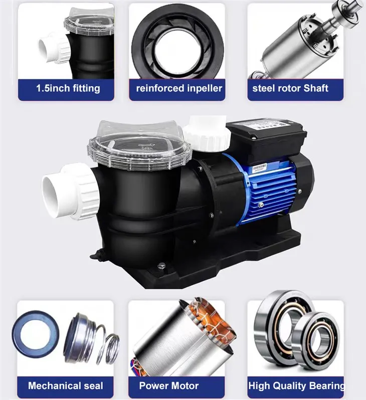 Pool Filter Pump